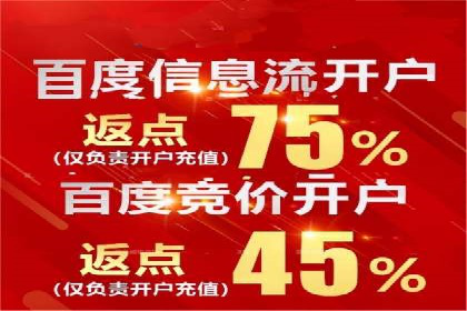 实战经验：竞价推广公司成功案例解析